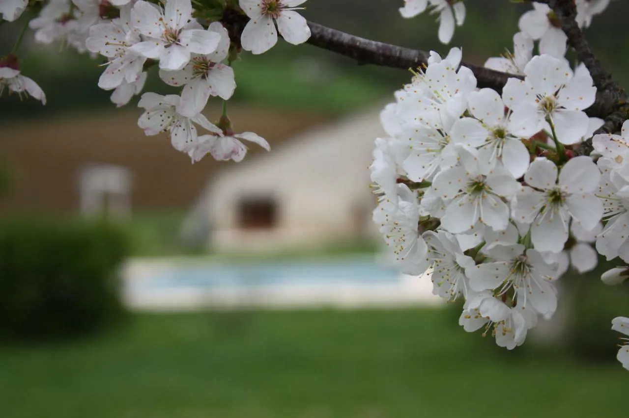Holiday home Gites Grand Pre ! Et La Roulotte De Roquecor France